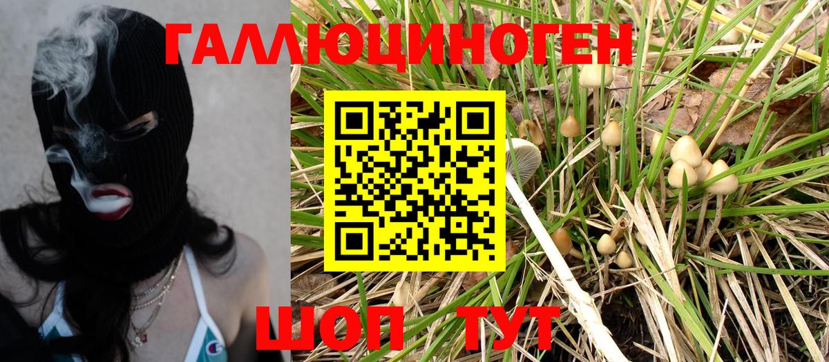 Калуга  Галлюциногенные грибы Psilocybine cubensis  Вход с VPN 